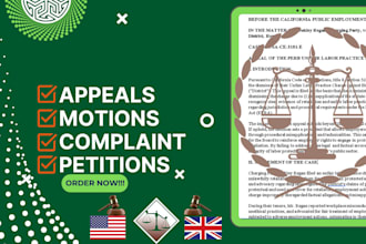 draft petitions, motions, and all other documents for court