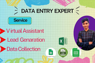 provide perfect data entry copy pest using spreadsheets