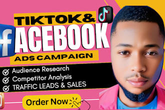 launch targeted facebook ads,instagram or tiktok ads for dropshipping product
