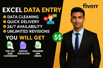 clean excel or CSV data with speed, accuracy, and professional care