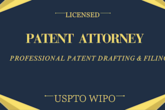 conduct a professional patent search and provide a patentability report