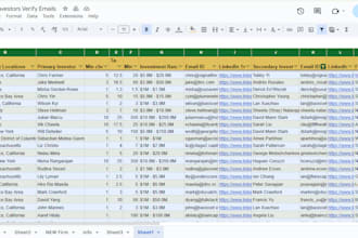 provide seed, vc, angel and early stage investor leads