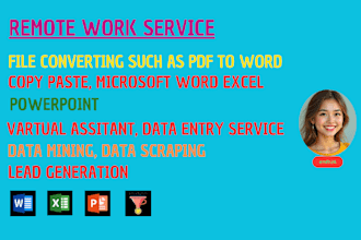 do file converting and virtual assistant data entry services