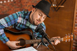 be male vocalist, music producer, lyrics writer, lyrics analysis, session singer
