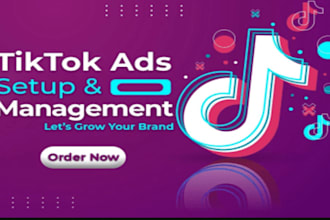 create tik tok agency account and tiktok ads agency account