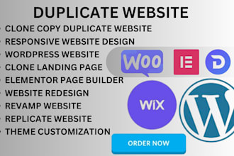 duplicate wordpress website design replicate clone copy redesign elementor pro