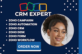 set up zoho CRM, zoho one, books, campaigns, desk, forms, bigin and automation