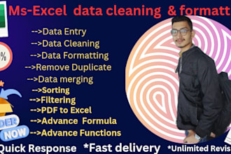 clean, format,merge,analyst,visulization,split excel data