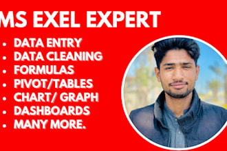 do any msexel work be expert in dashboard,pivot tables,chart,graph,data anlysist