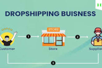 be your dropshipping agent