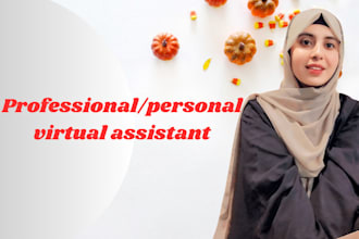 be your professional admin and personal virtual assistant pakistan