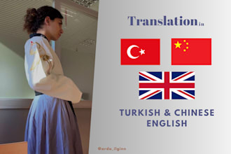 translate chinese to turkish accurately and naturally