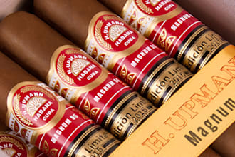 do awesome cigar, label, band, ring, tube and box logo with unlimited revisions