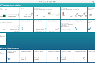 be your sap consultant
