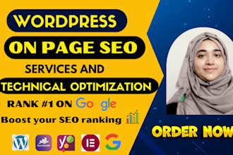 do wordpress onpage SEO and technical optimization service