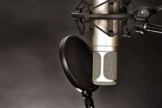 do the professional dubbing in telugu