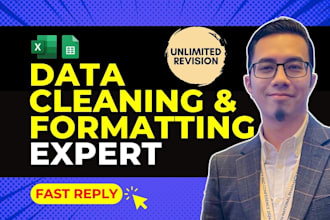 do excel data cleaning with unlimited revision