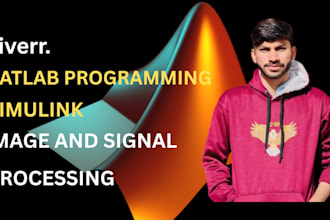 perform matlab programming, simulink and signal, image processing