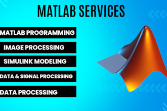 do your matlab programming, image processing, and simulink projects