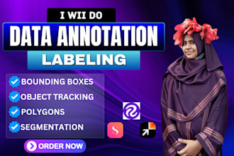 do image annotation, data labeling for ai