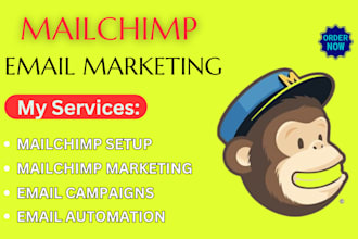 send bulk emails, manage mailchimp campaigns, setup email and run cold email