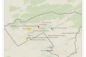 do any gis mapping, spatial analysis, and data processing in arcgis or qgis