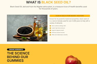 build shopify one product store or landing page