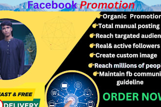 promote your business with expert facebook promotion