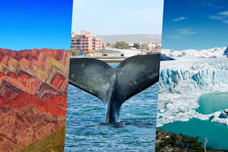 help you with travel info and mice event planning