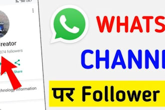 organic whatsapp channel, bulk message, real active whatsapp followers member