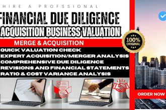 provide financial due diligence, business valuation for mergers and acquisitions
