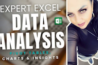 create excel data analysis, pivot tables, charts, and insights