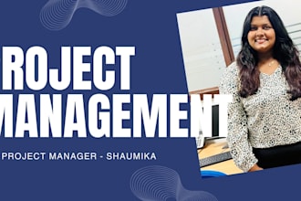 manage IT projects efficiently as a professional IT project manager