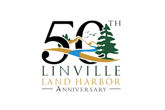 do anniversary or event logo professionally