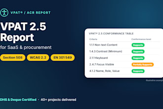 create a vpat report and manual wcag accessibility audit