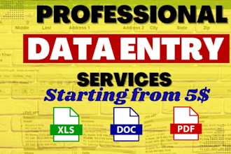 do accurate data entry into excel in 5 hours