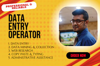 be your reliable data entry operator