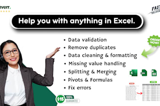 clean, format, and organize your excel data professionally