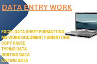 do data entry formatting for ms word and excel