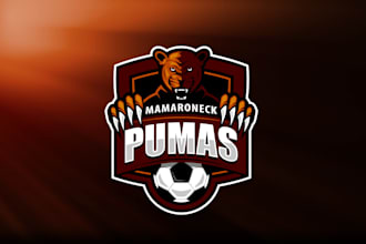 design unique soccer team logo