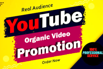 do superfast USA youtube, USA video promotion to usa audience