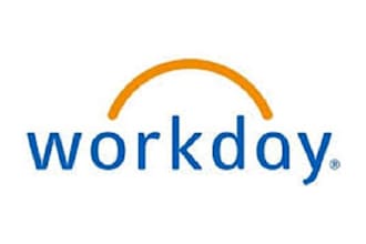 solve your workday security related problems