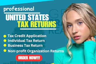 file your corporate tax returns form 1120 1120 s 1065 as a cpa