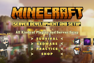 create a high quality minecraft server for you