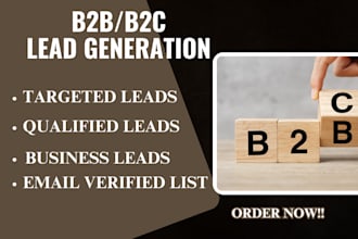 find niche targeted b2b lead generation, build business email list or scraping