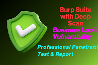 conduct a manual pentest on your website