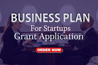 write business plan, business proposal for startups and grant application