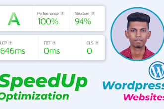 speed up and optimization wordpress website