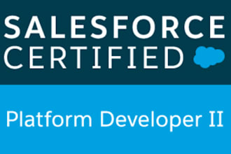 be your salesforce developer