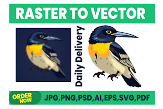 professional raster to vector conversion